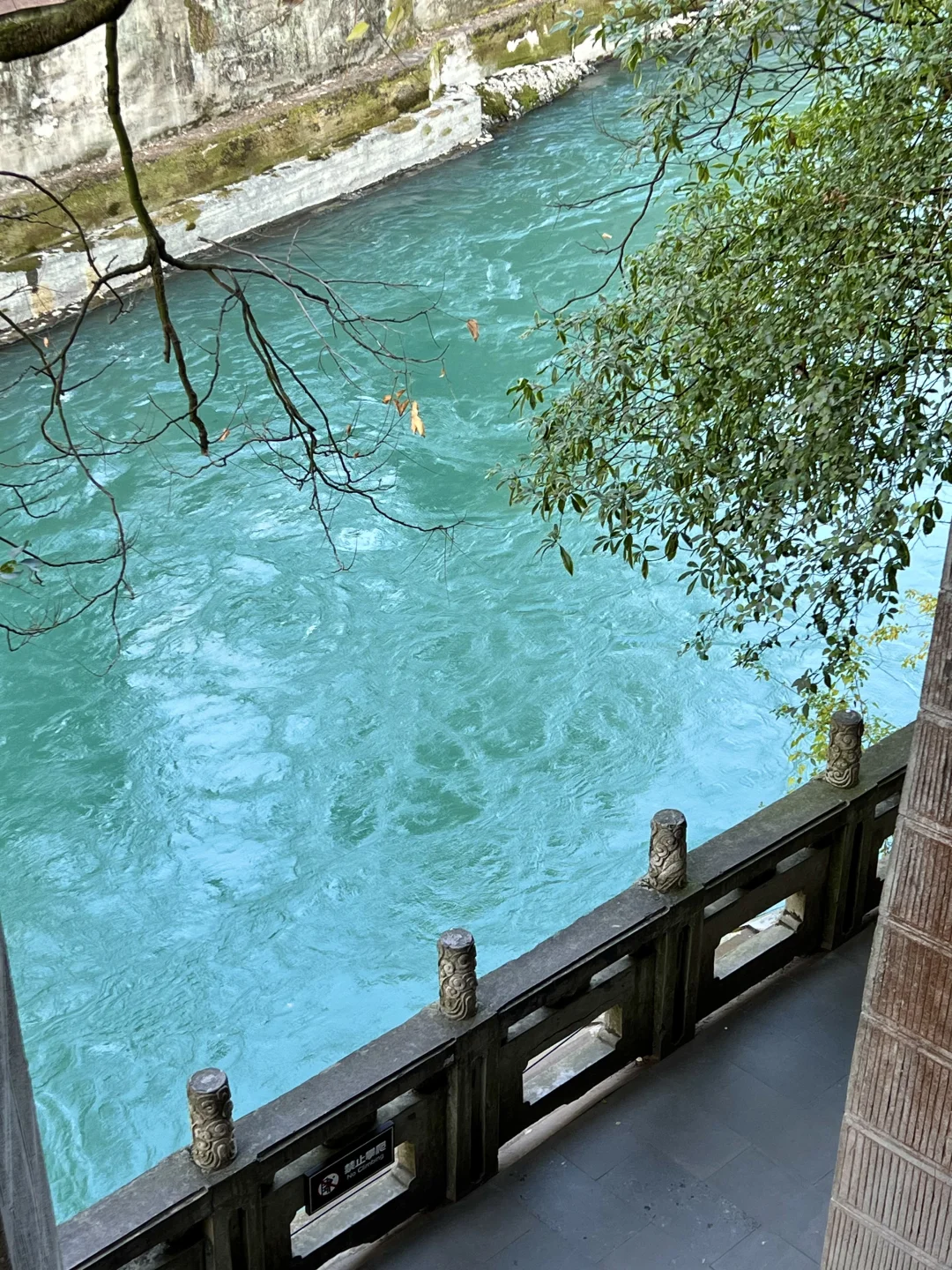 谁还没见过都江堰的水和小熊猫！1日游攻略