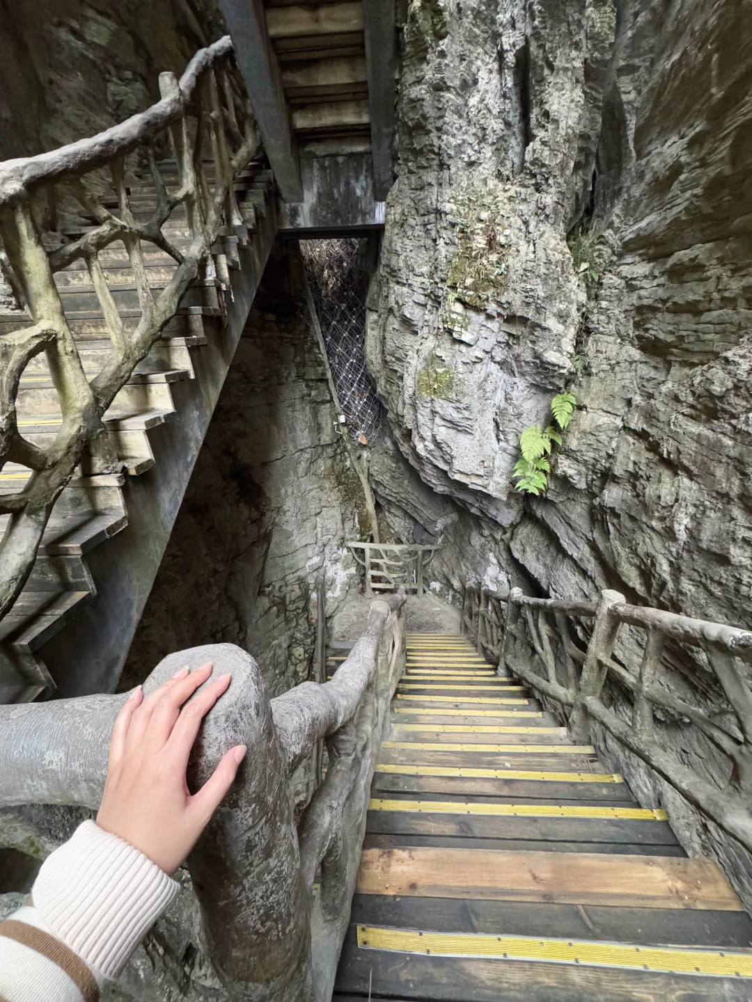 大峡谷真的是张家界最值得去的景区！（live图