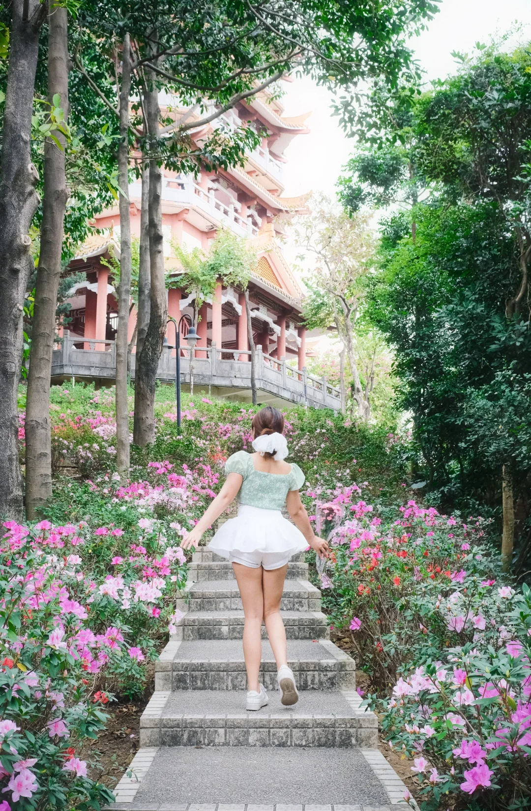 广州麓湖公园这条绝美花路准备来啦🌸附攻略