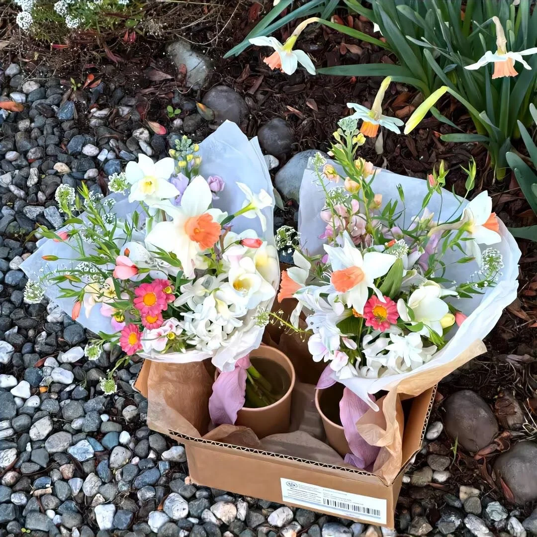 𝑾𝒆𝑪𝒉𝒂𝒕春日女头