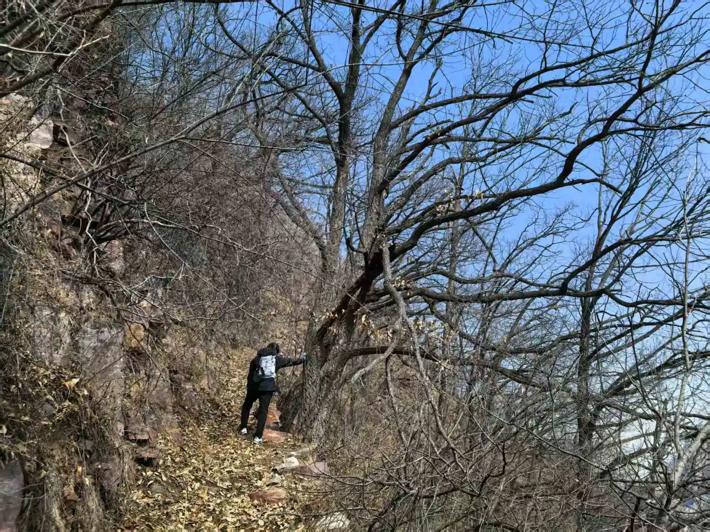 邢台游--紫金山