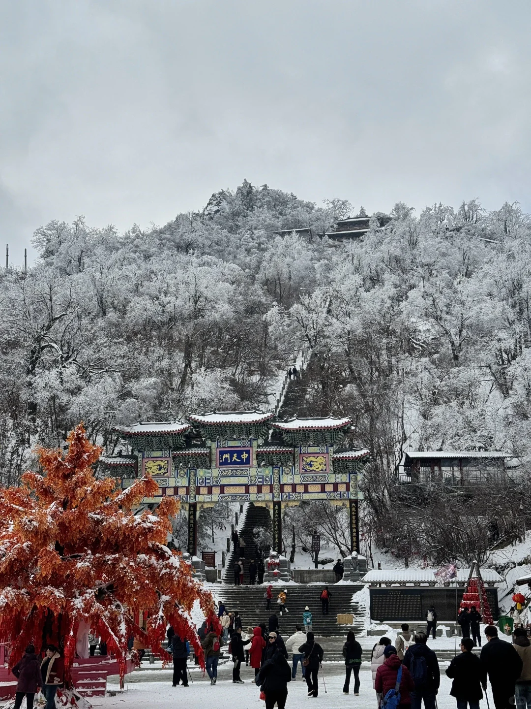 3.8号老君山实况,天气回暖了🌞:……