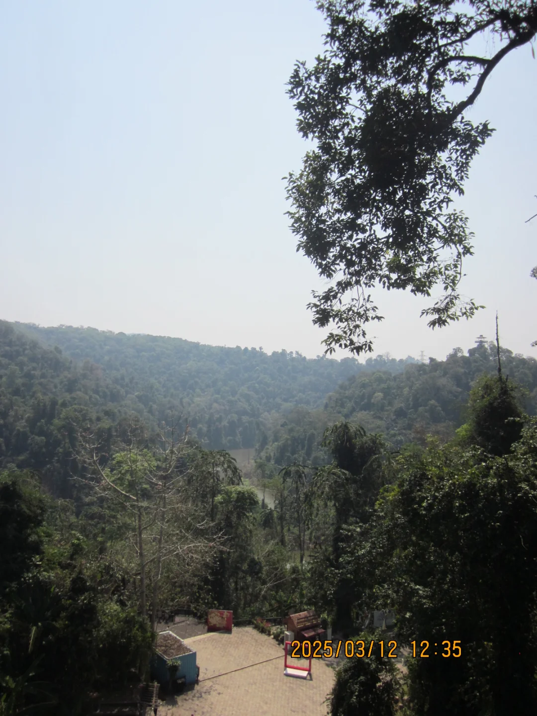 望天树景区不推荐啊啊啊啊啊啊