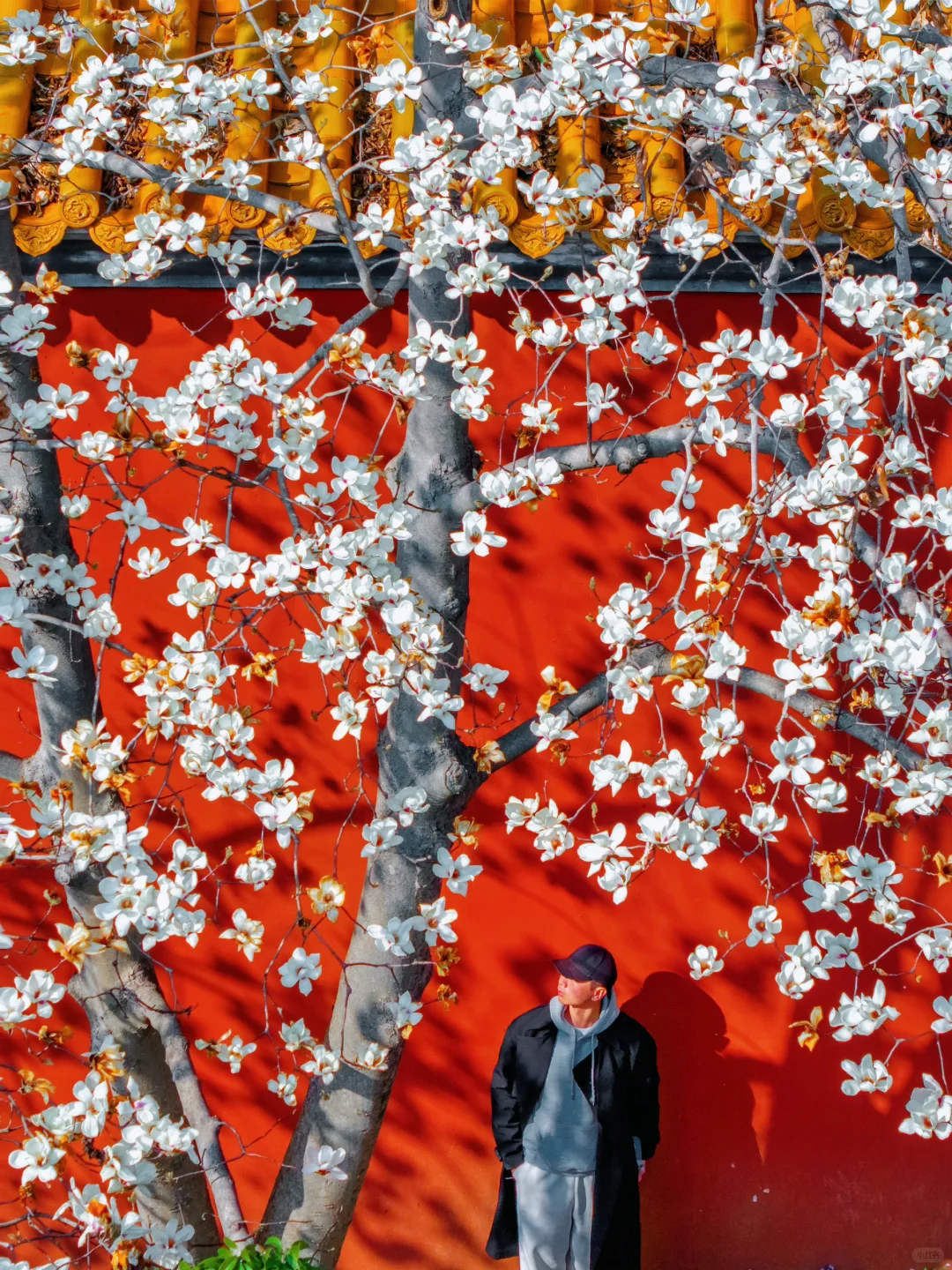 以为朝天宫已够美了，直到我去了一趟这里…