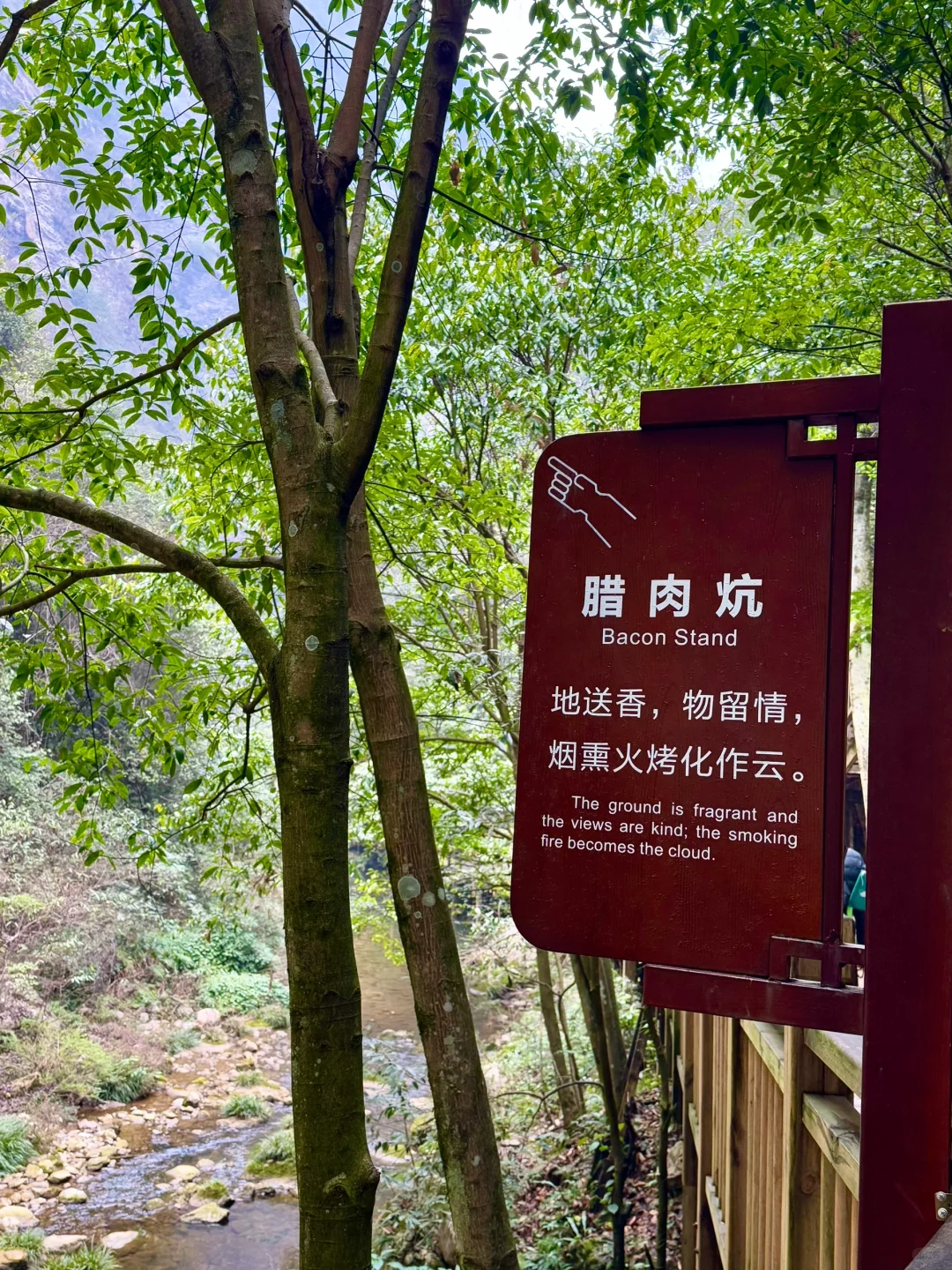 大峡谷真的是张家界最值得去的景区！（live图