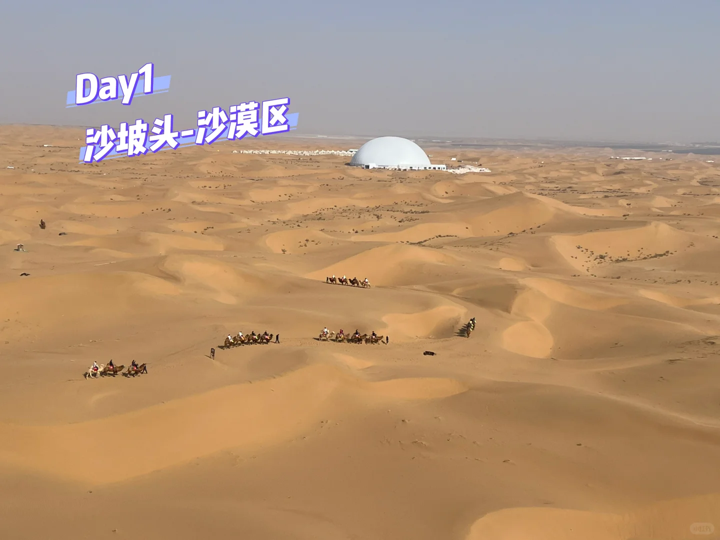 沙漠星星&宁夏中卫旅游攻略Day1