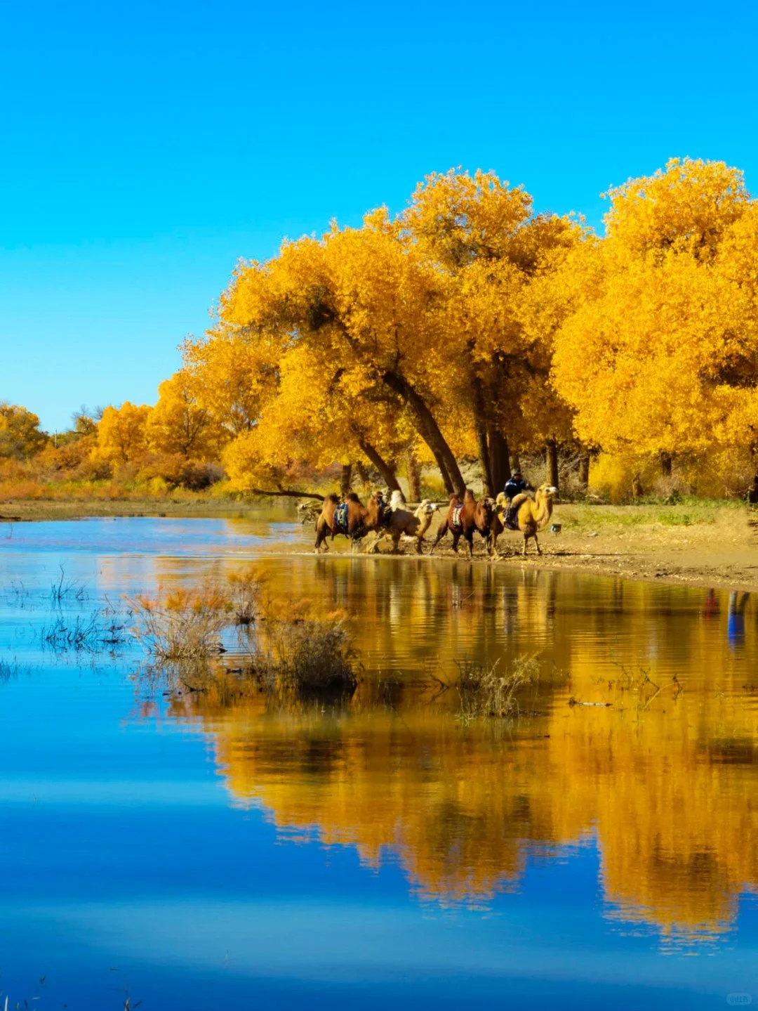 《中国地理》极致自然景观篇