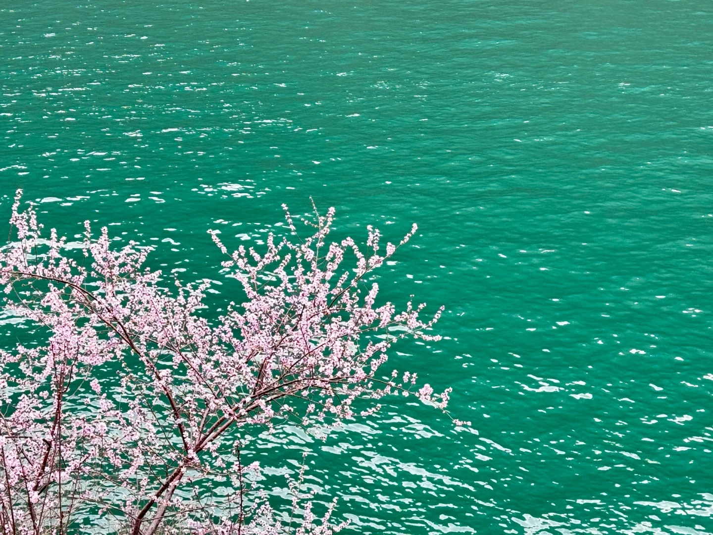 河南新乡宝泉一日游 一人超级随心版