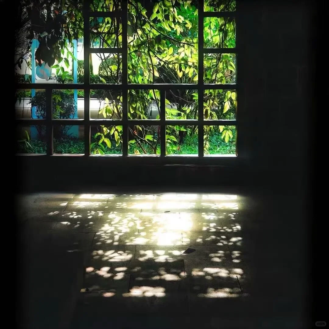 𝑾𝒆𝑪𝒉𝒂𝒕春日女头