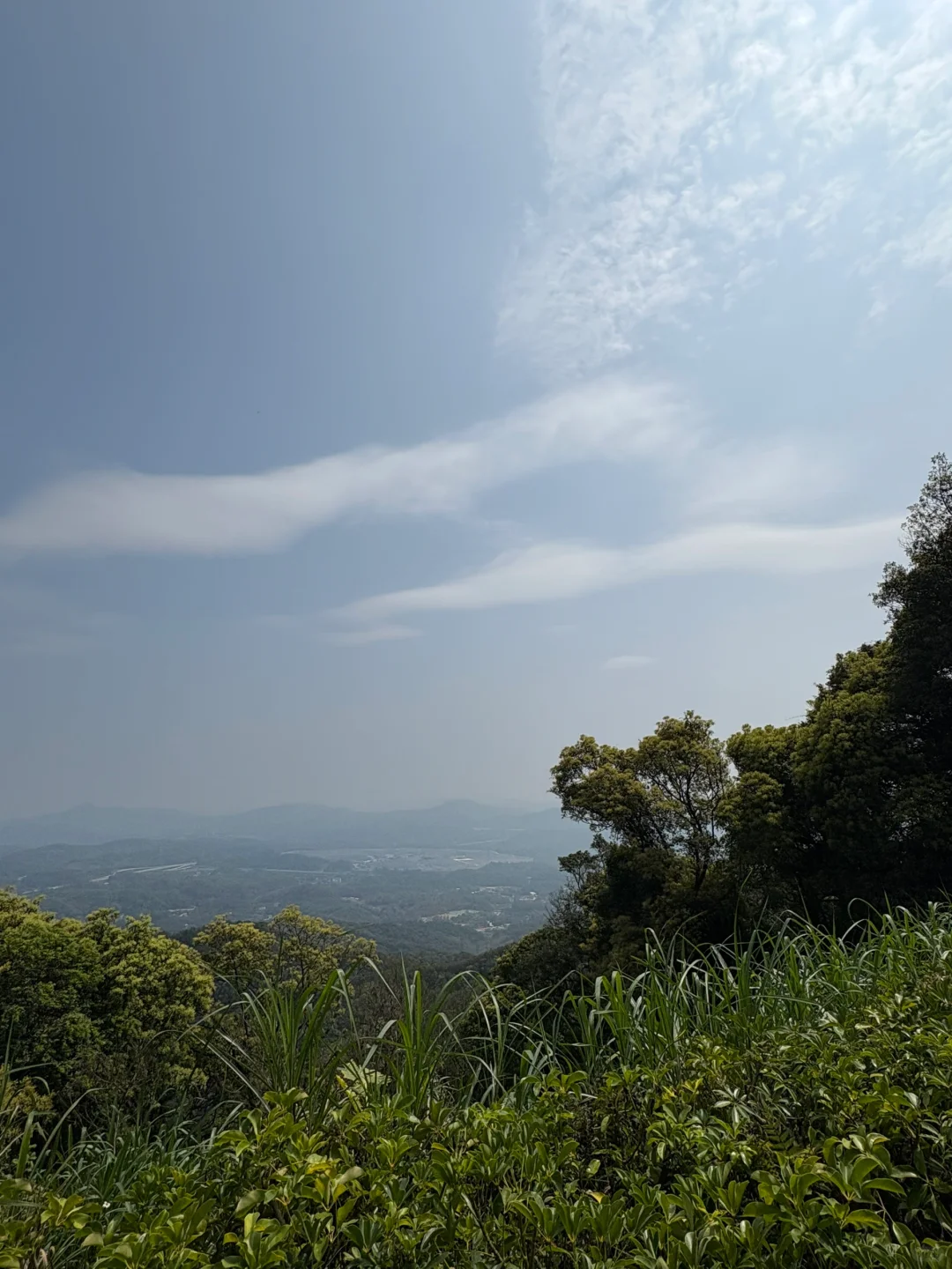 我在广州上春山⛰️ 🌸帽峰山