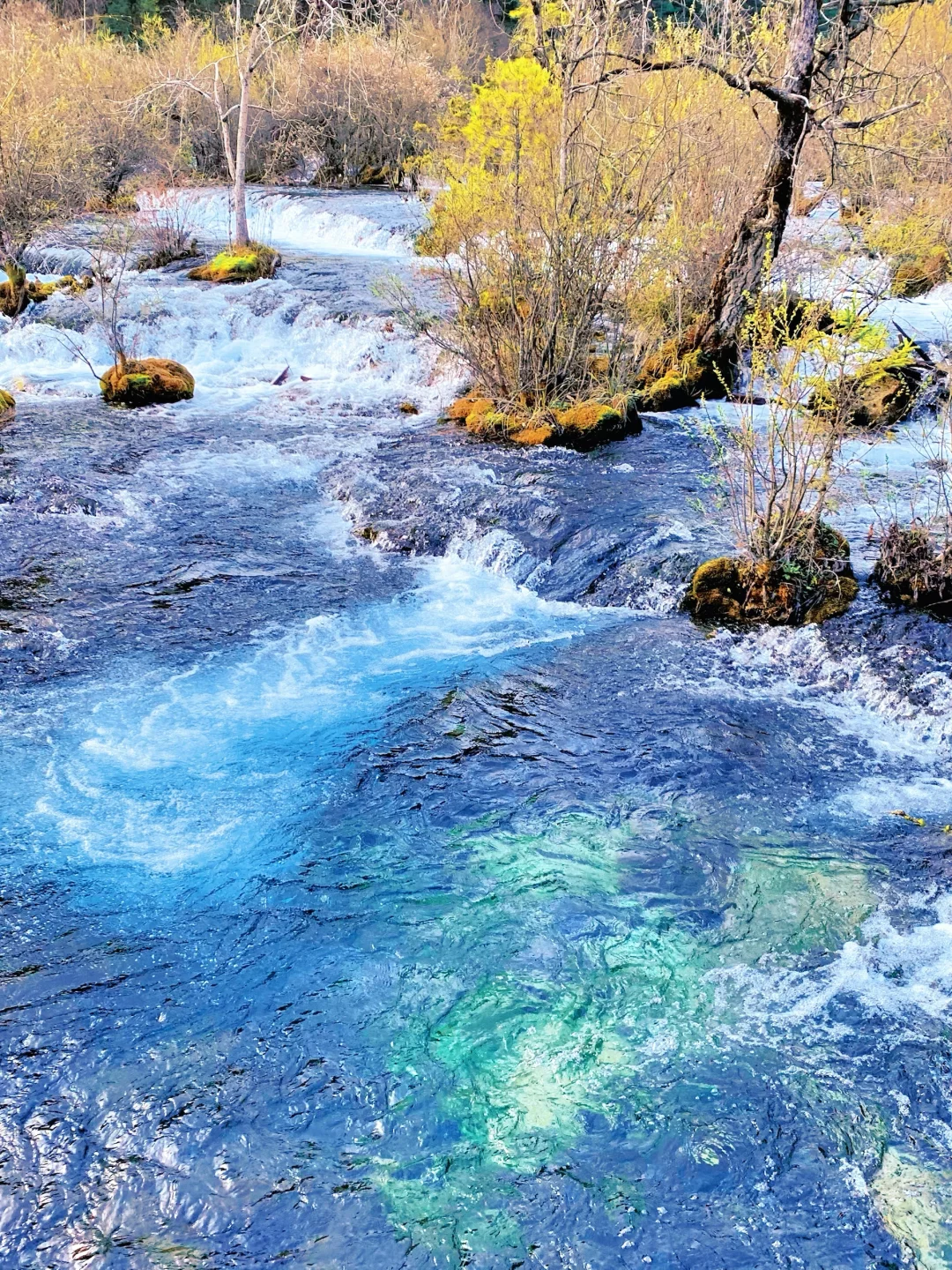 不愧是5A级景区的天花板👍接下来美到爆炸💥
