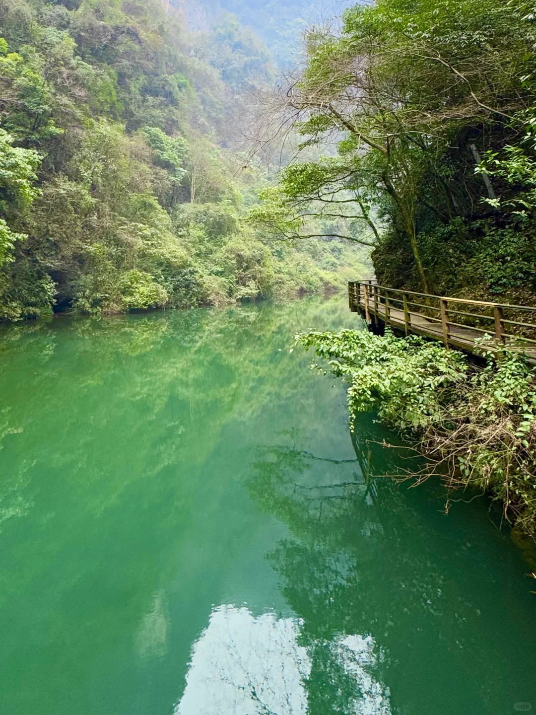 大峡谷真的是张家界最值得去的景区！（live图