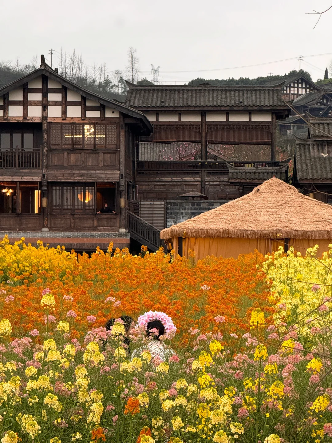 以为宜宾够美了...直到去了免费莫奈花园💐