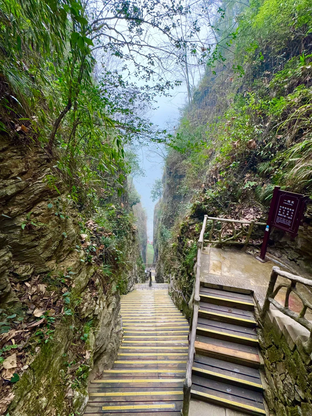 大峡谷真的是张家界最值得去的景区！（live图