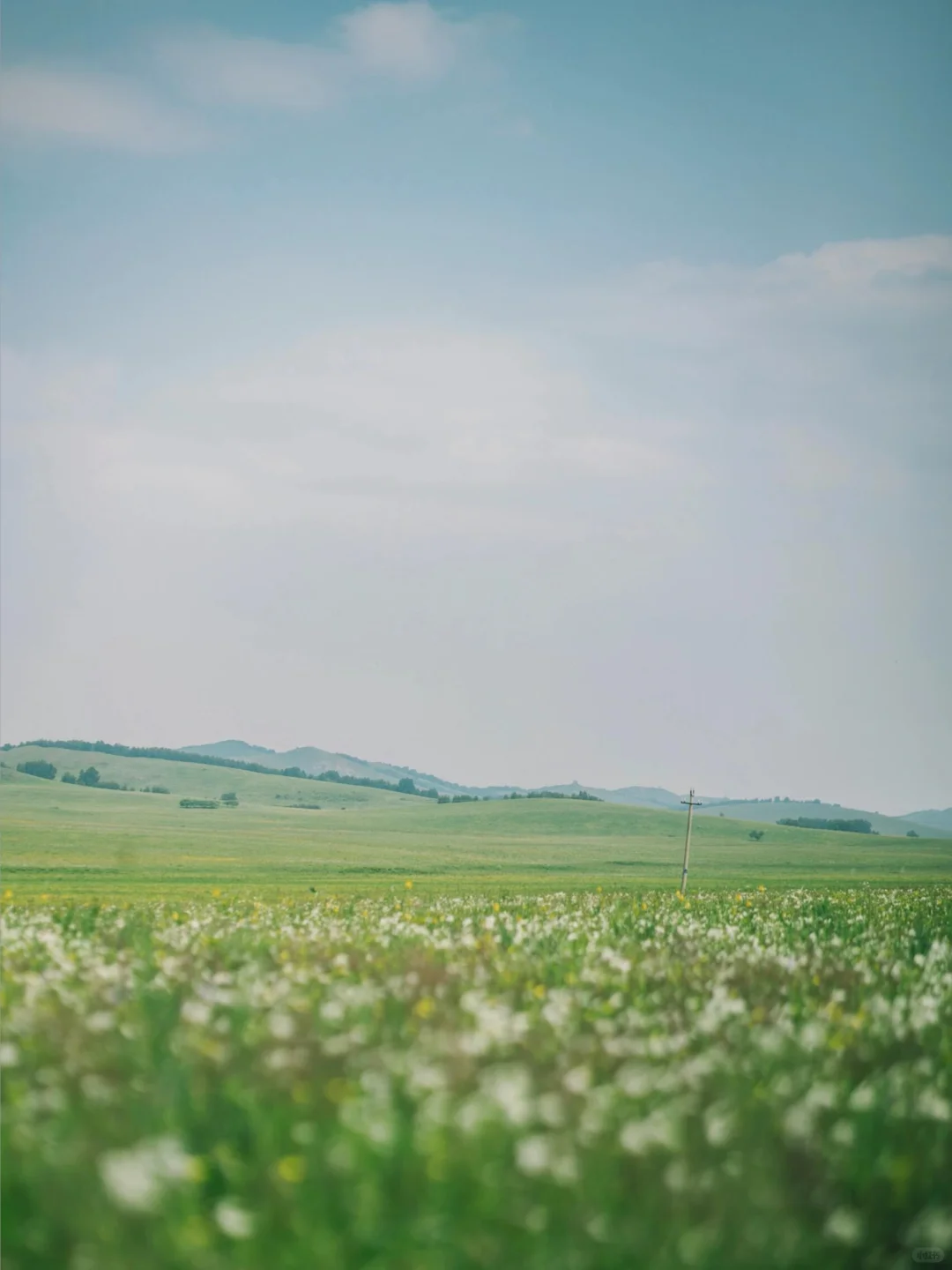 小红书跟风最成功的一次❗️不是瑞士是内蒙古