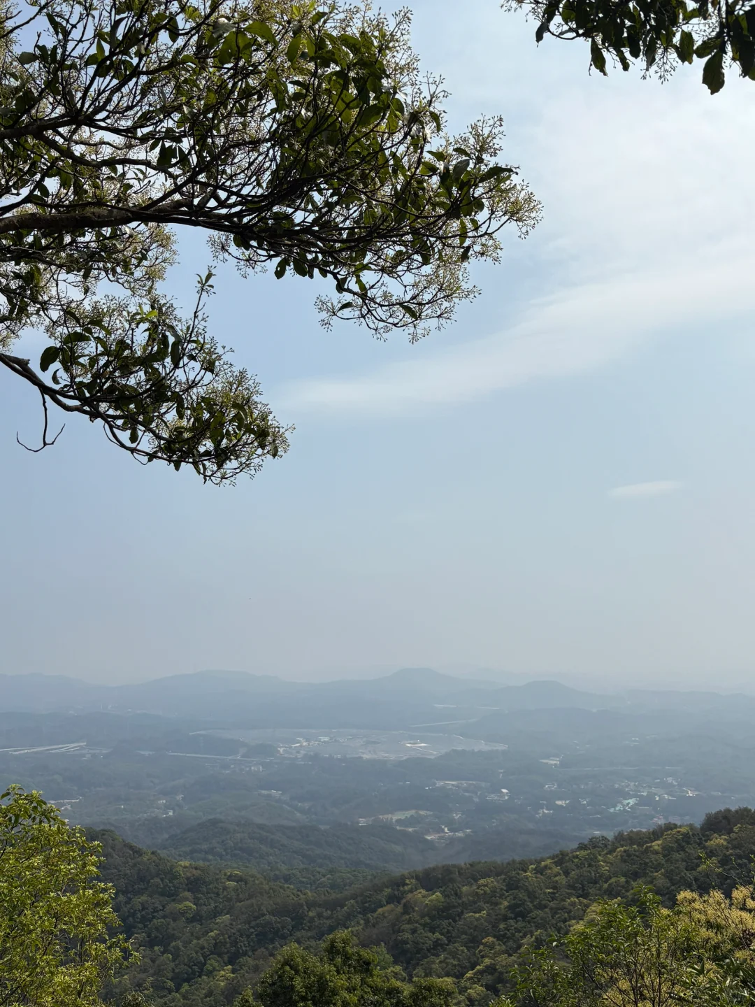 我在广州上春山⛰️ 🌸帽峰山
