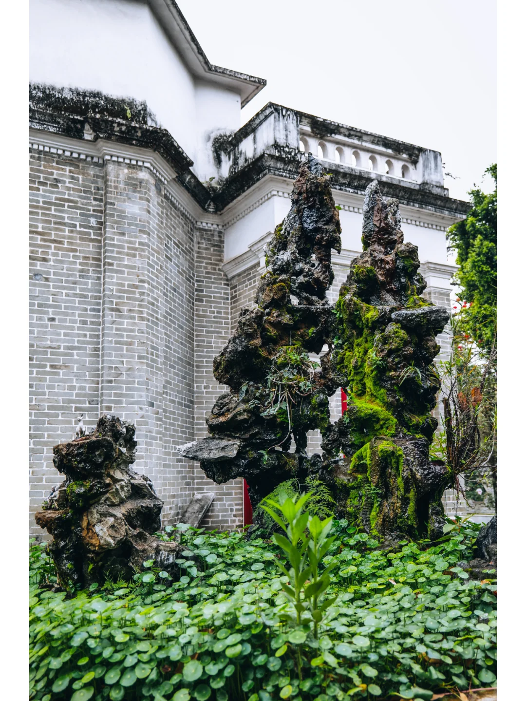 石龙欧仙院：红棉盛放的绝美时刻