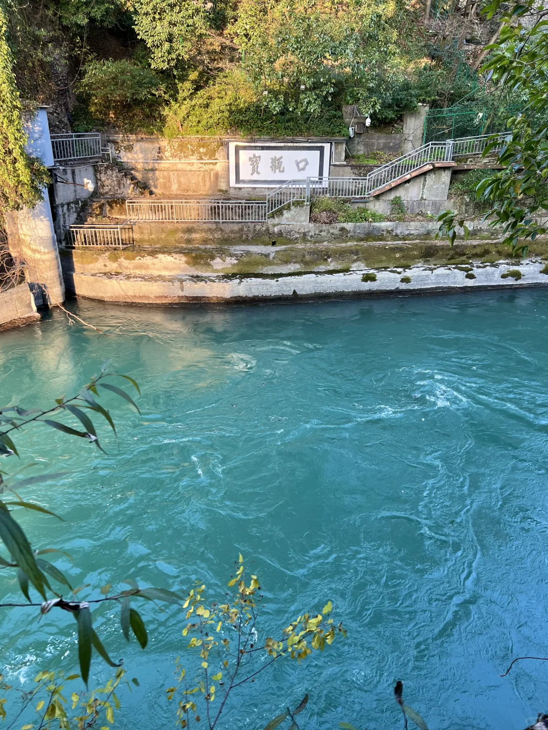 谁还没见过都江堰的水和小熊猫！1日游攻略