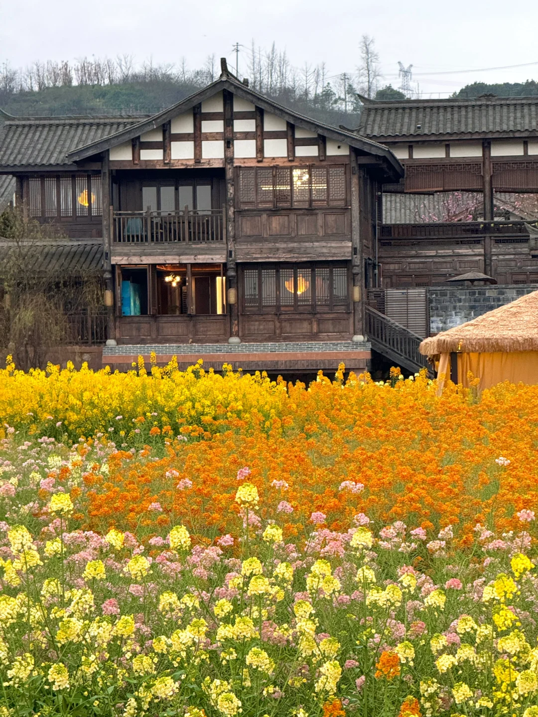 以为宜宾够美了...直到去了免费莫奈花园💐