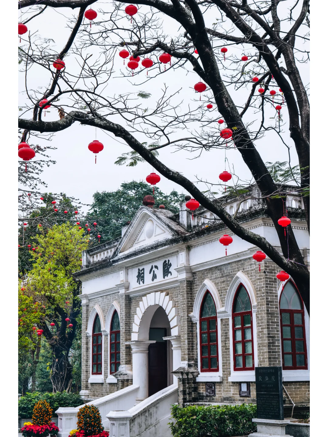 石龙欧仙院：红棉盛放的绝美时刻