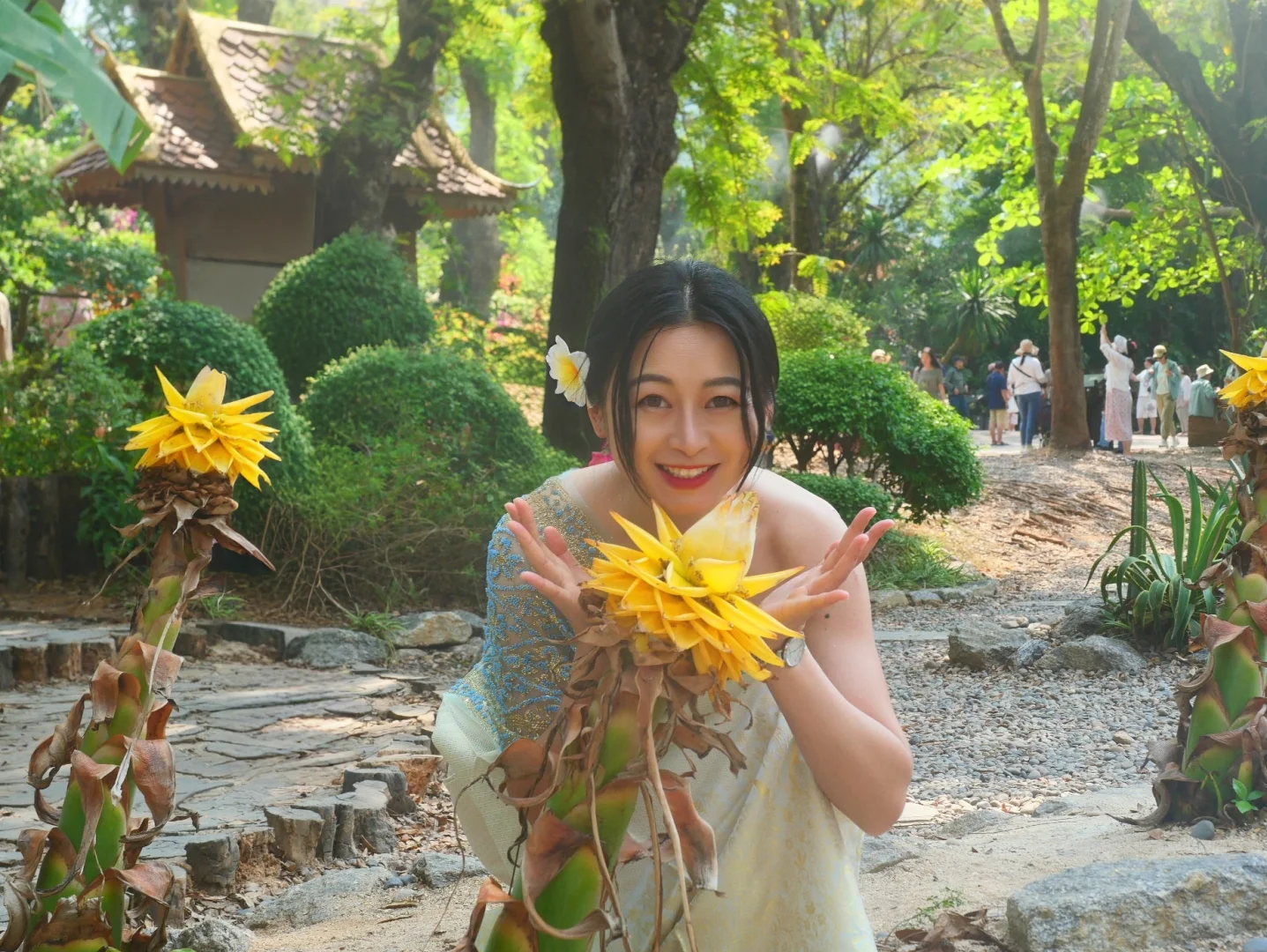 正在西双版纳，不吹不踩，实话实说