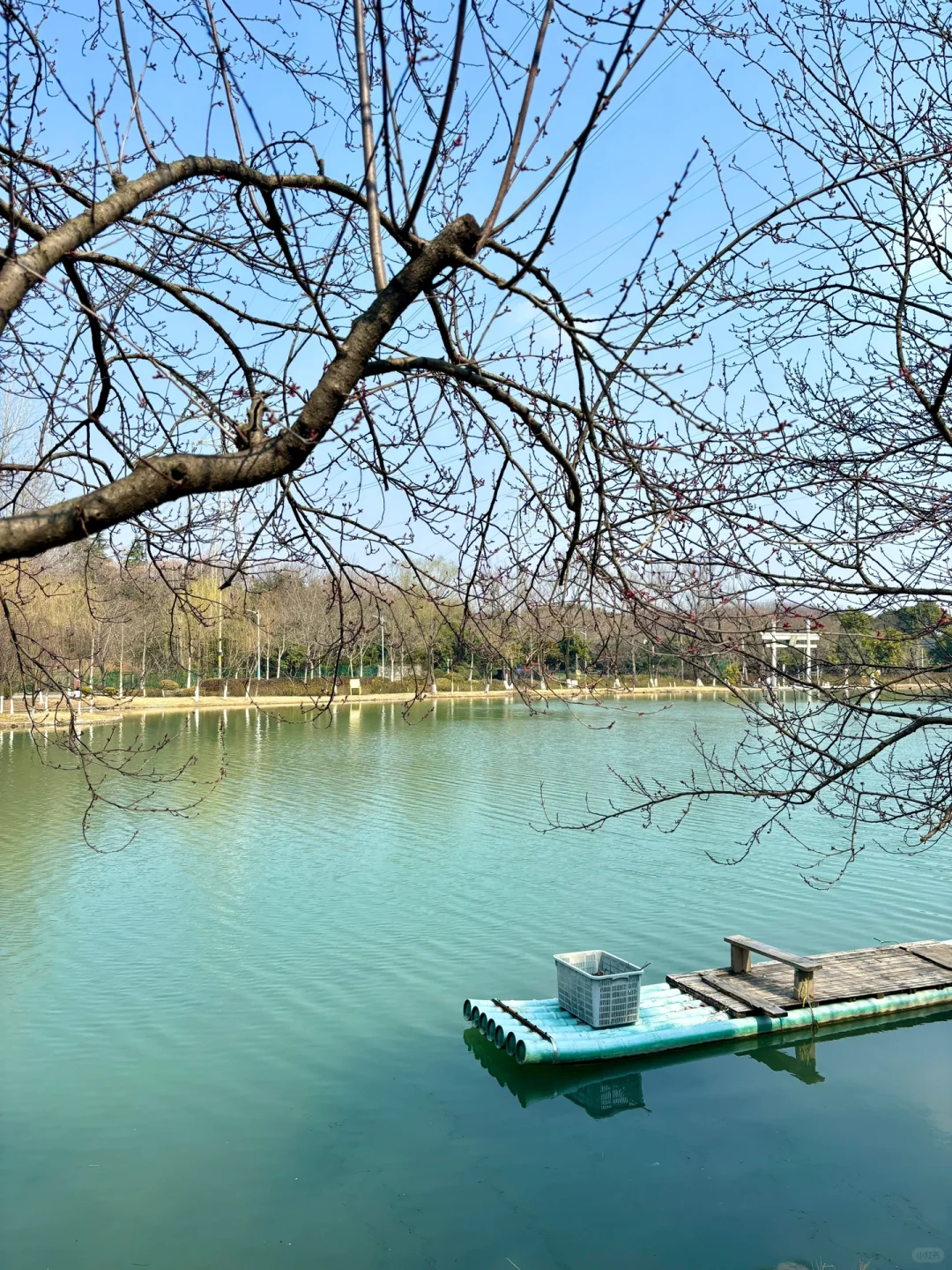 📍珍珠泉景区｜含氧量💯的宝藏景点