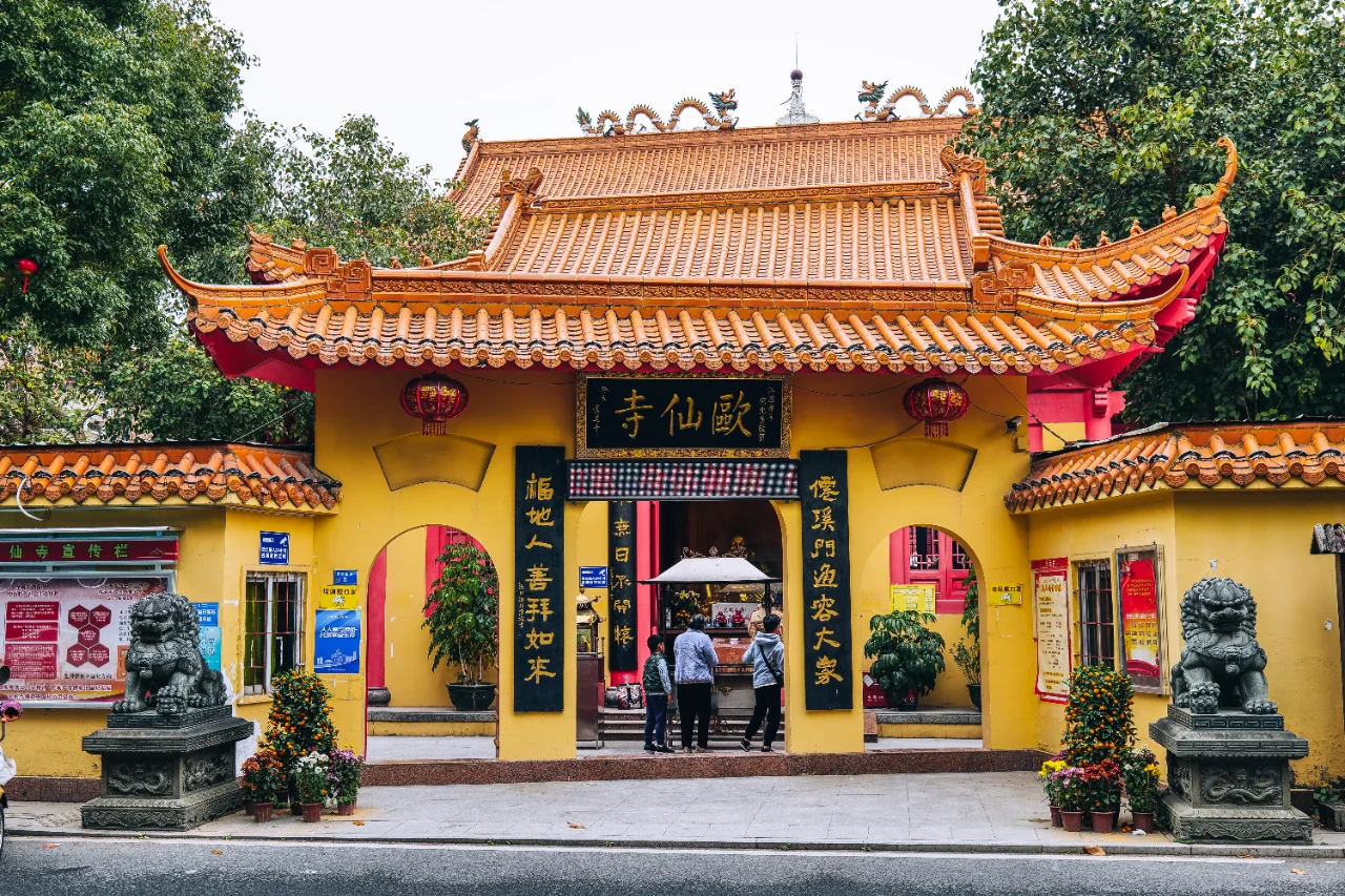 石龙欧仙院：红棉盛放的绝美时刻