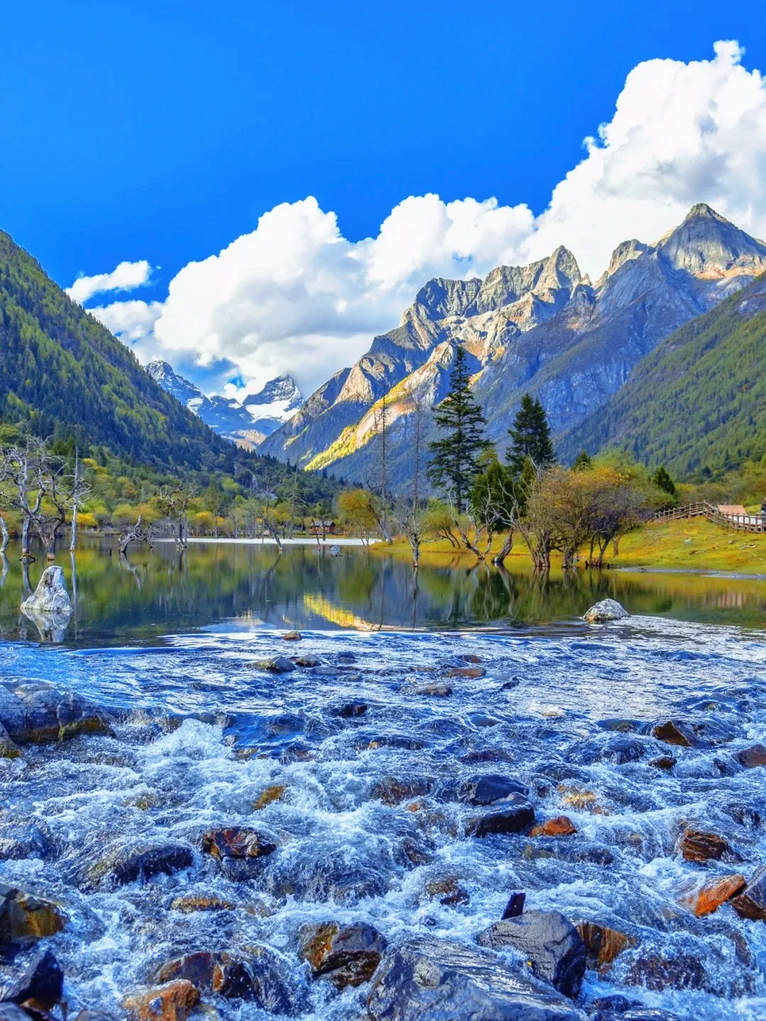 四姑娘山豪赌成功！美过瑞士🏞的夏日氧吧‼️