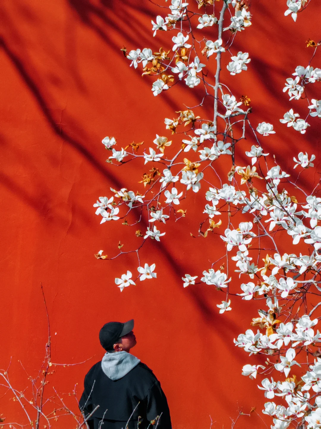 以为朝天宫已够美了，直到我去了一趟这里…