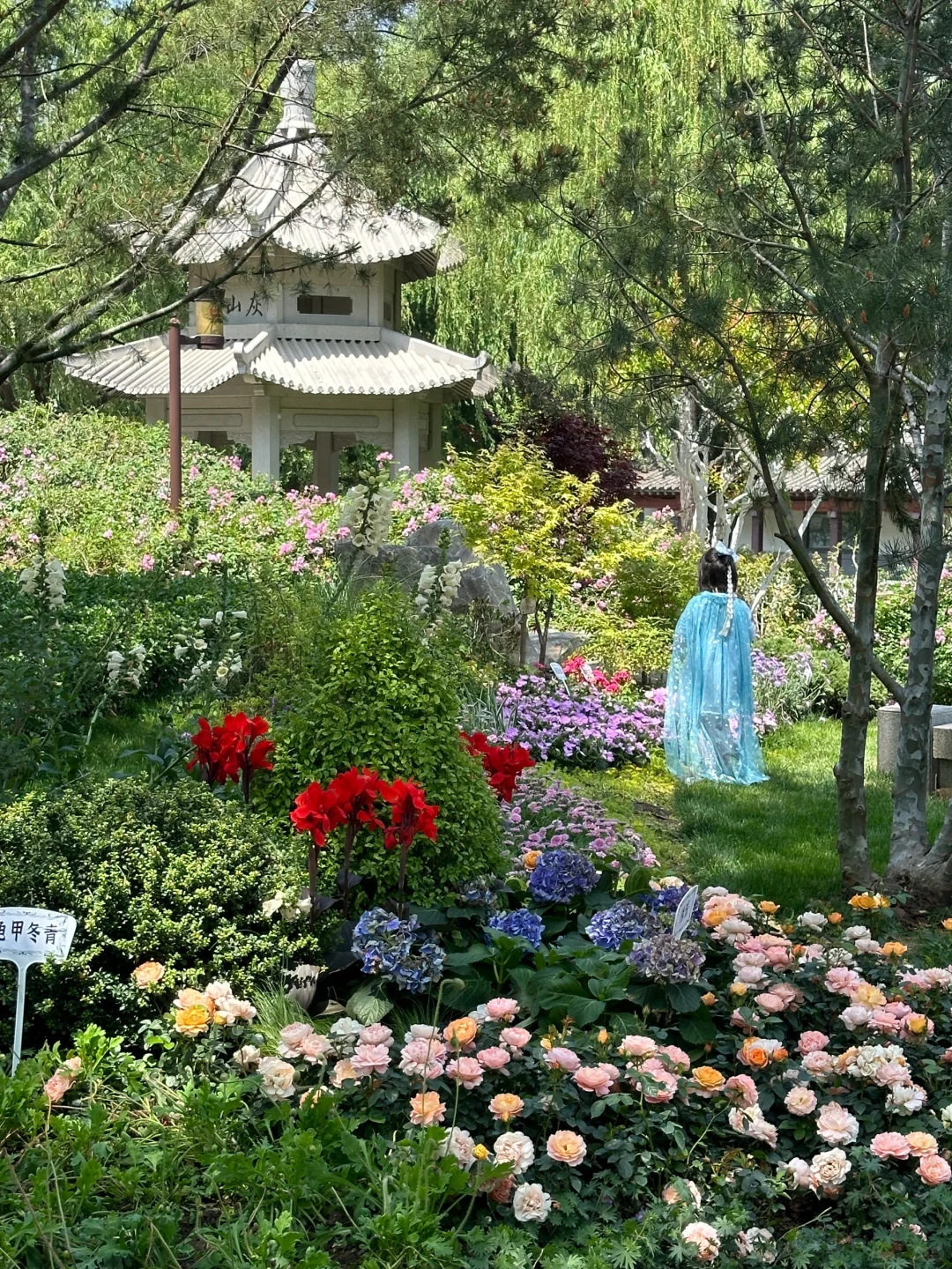 济南。。。果然最牛逼的地方都是免费的！（合集）