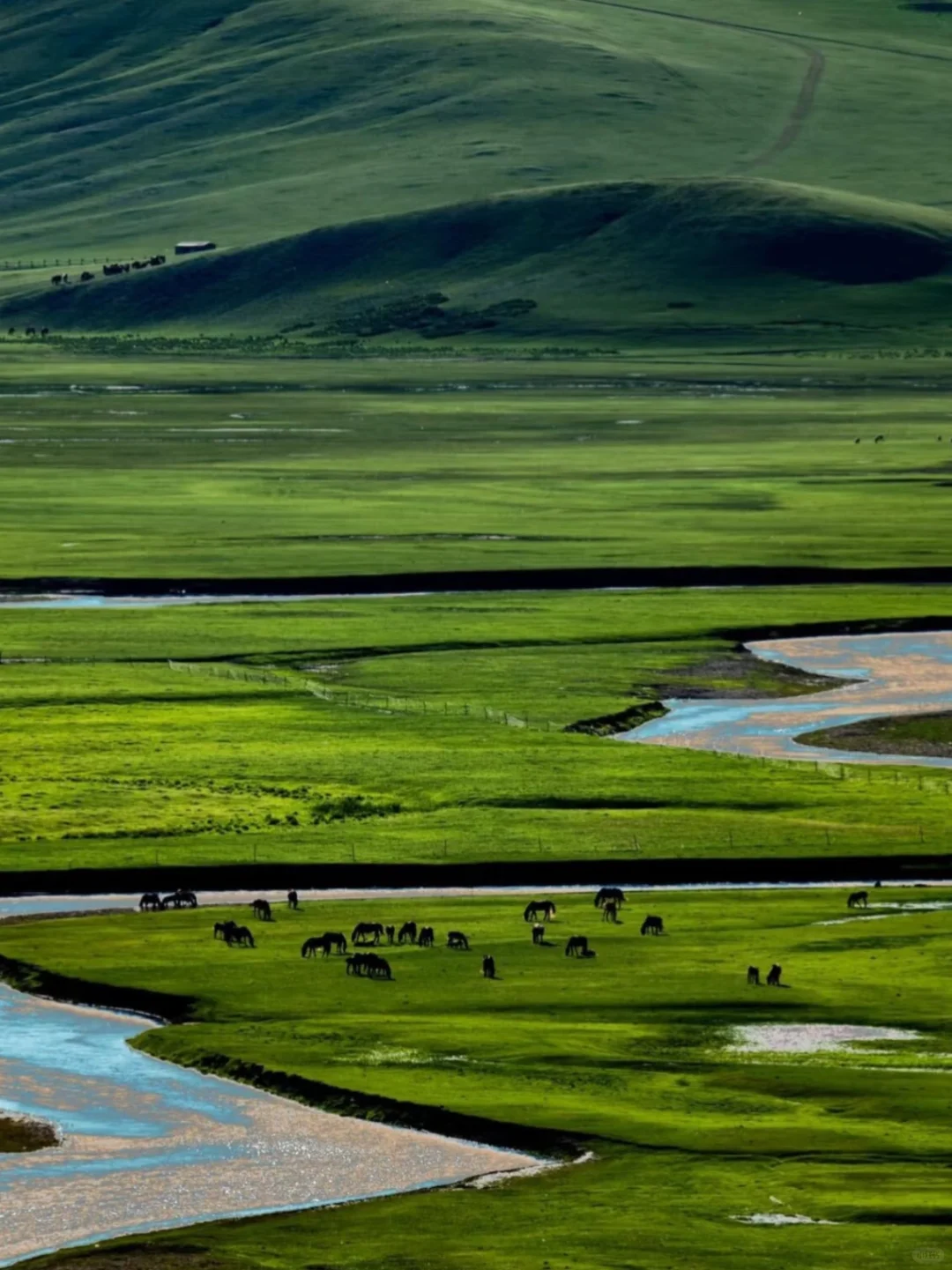 小红书跟风最成功的一次❗️不是瑞士是内蒙古