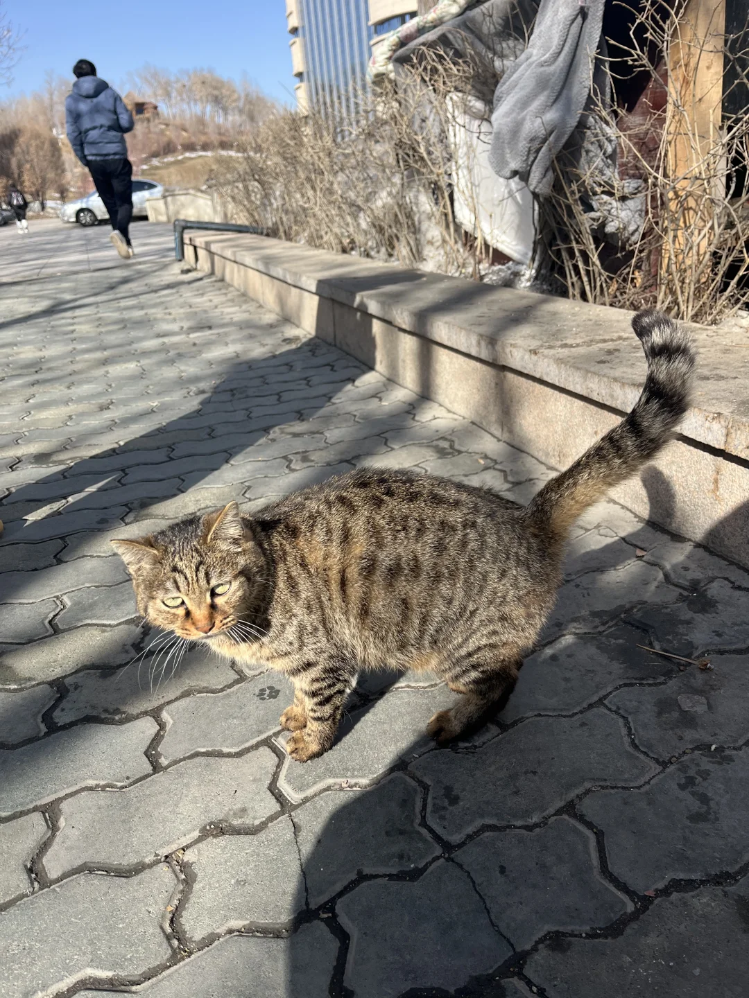 乌鲁木齐红光山免费景区太好拍了，速进！
