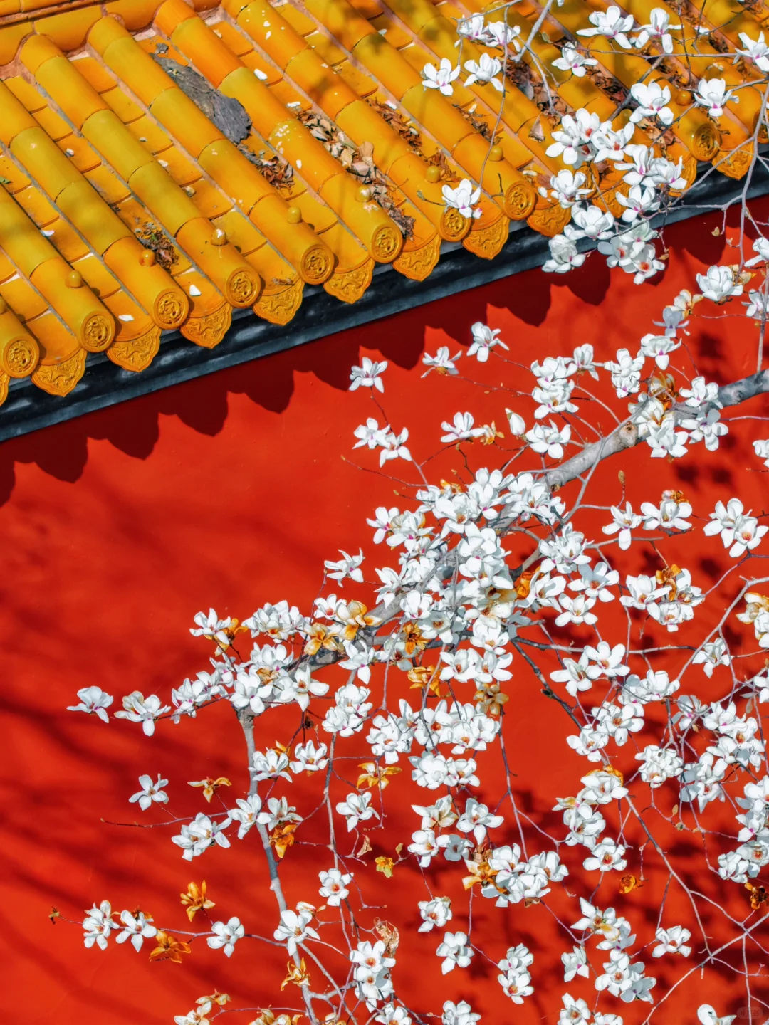 以为朝天宫已够美了，直到我去了一趟这里…