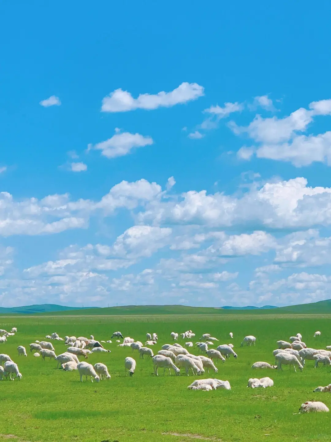 小红书跟风最成功的一次❗️不是瑞士是内蒙古