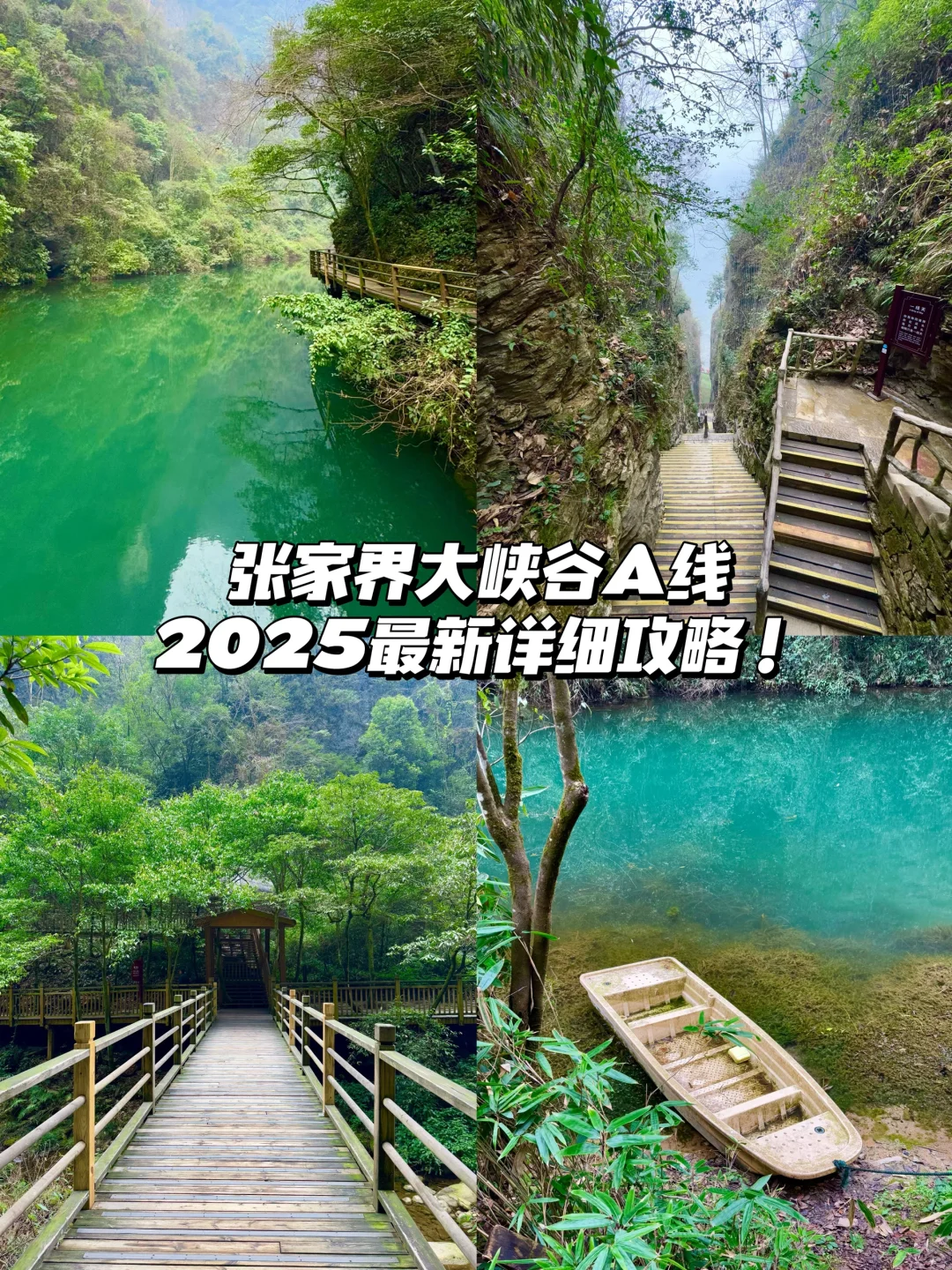 大峡谷真的是张家界最值得去的景区！（live图