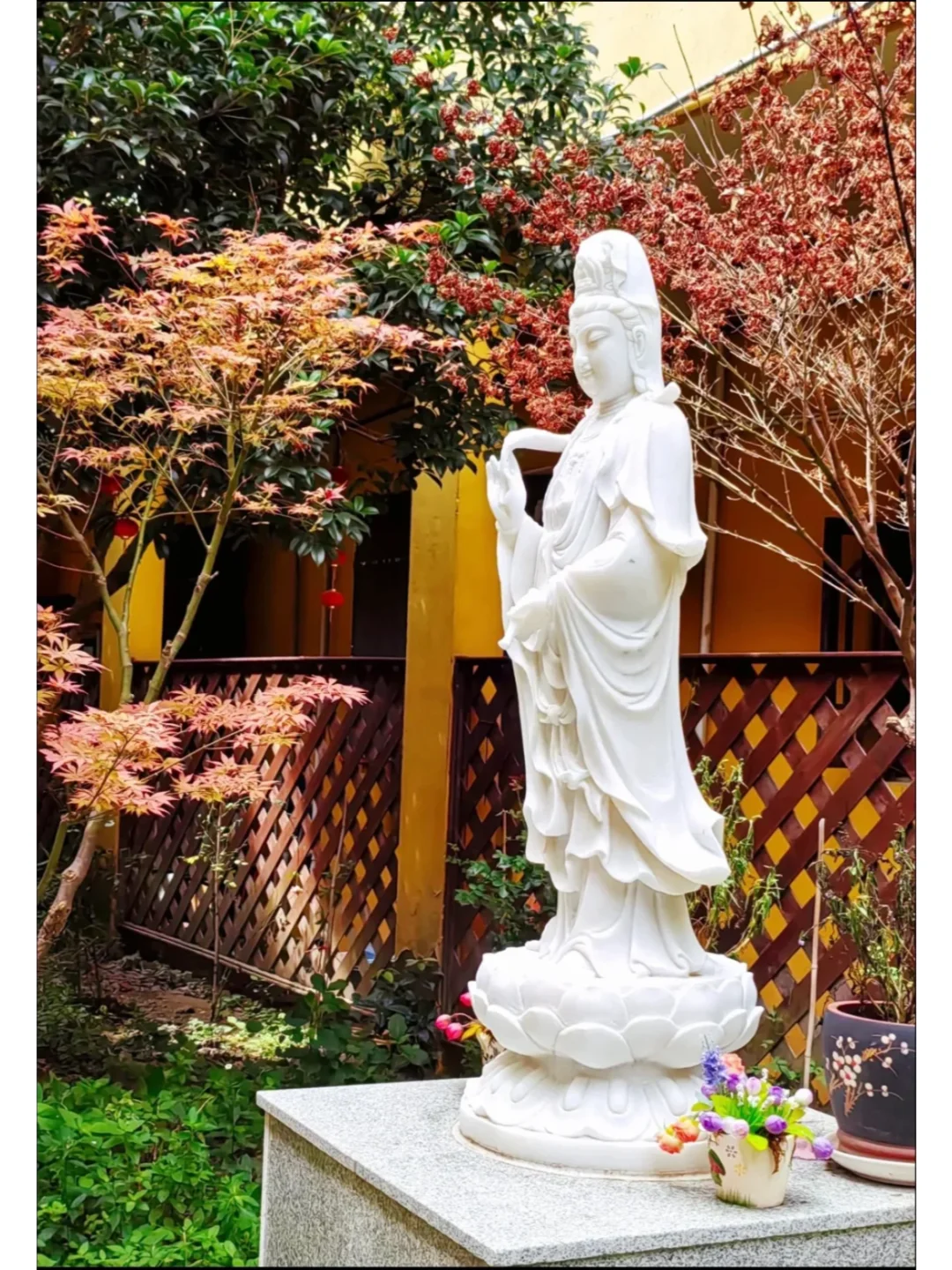 探秘普陀山碧云净院：禅意秘境全攻略