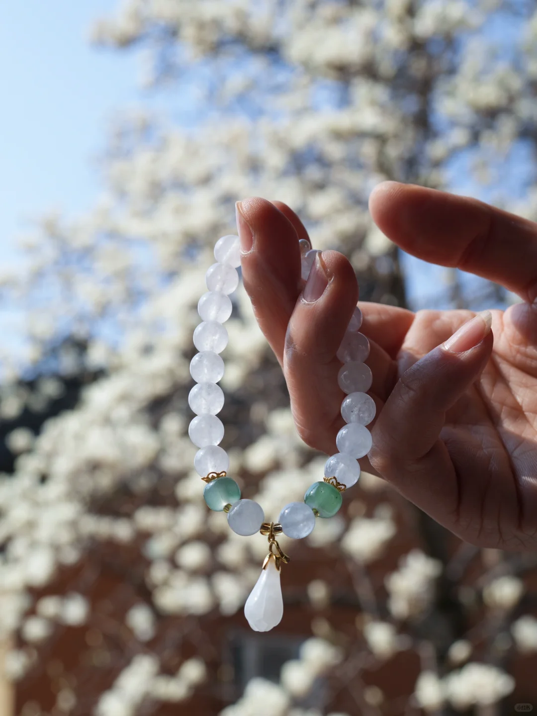 本周末南京赏花最佳线路，我帮你们设计好了