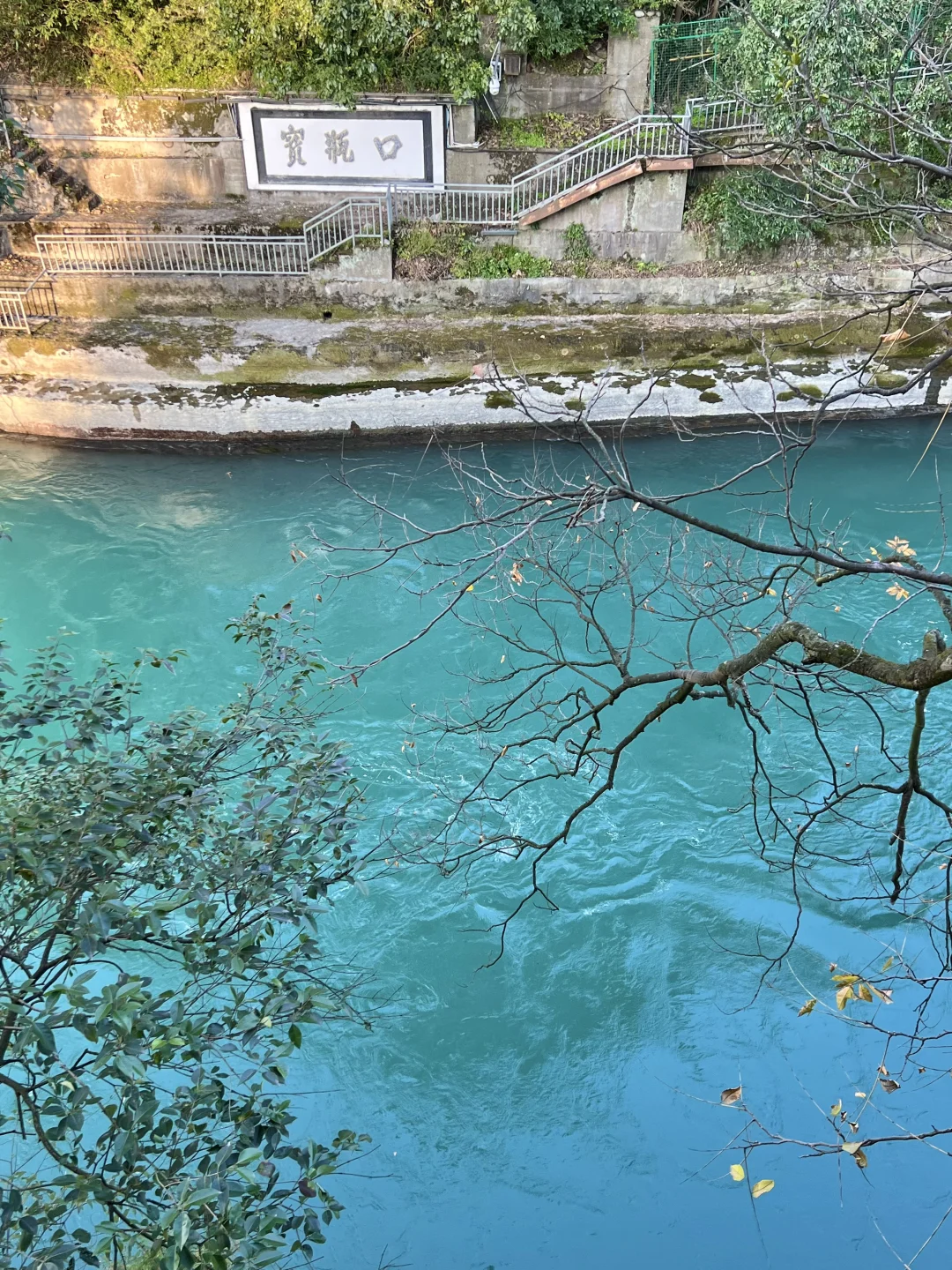 谁还没见过都江堰的水和小熊猫！1日游攻略