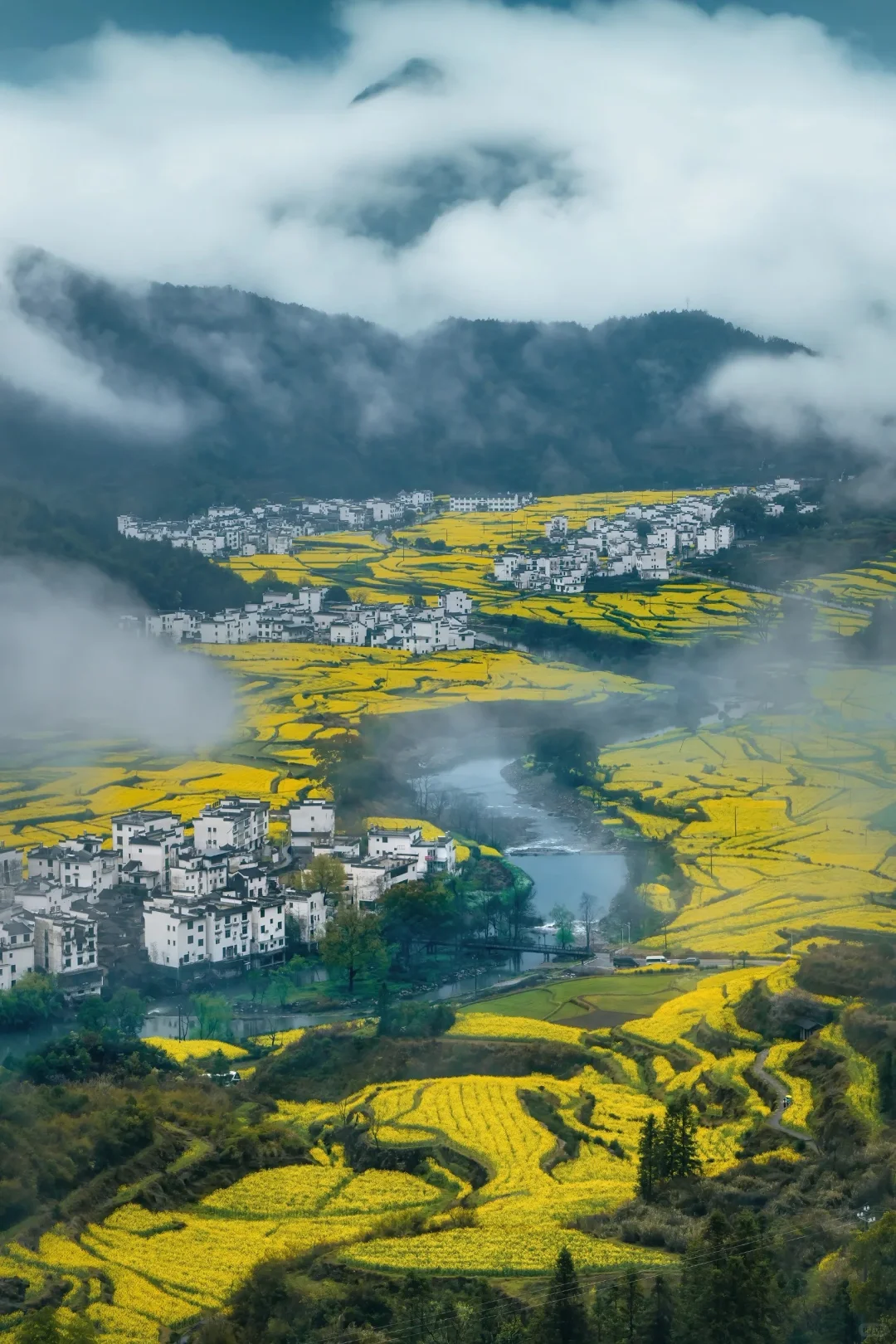 接下来的徽州，春和景明