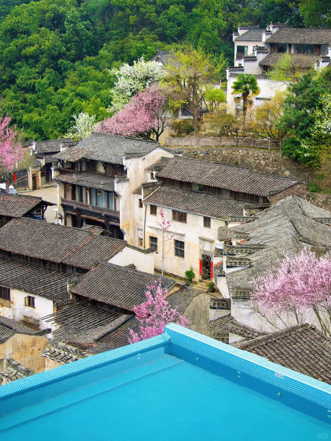 我在婺源上春山｜最美古村的春天真的好绝‼️