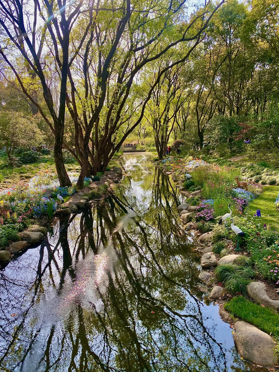 为了这18张live图 我专门飞了趟上海...