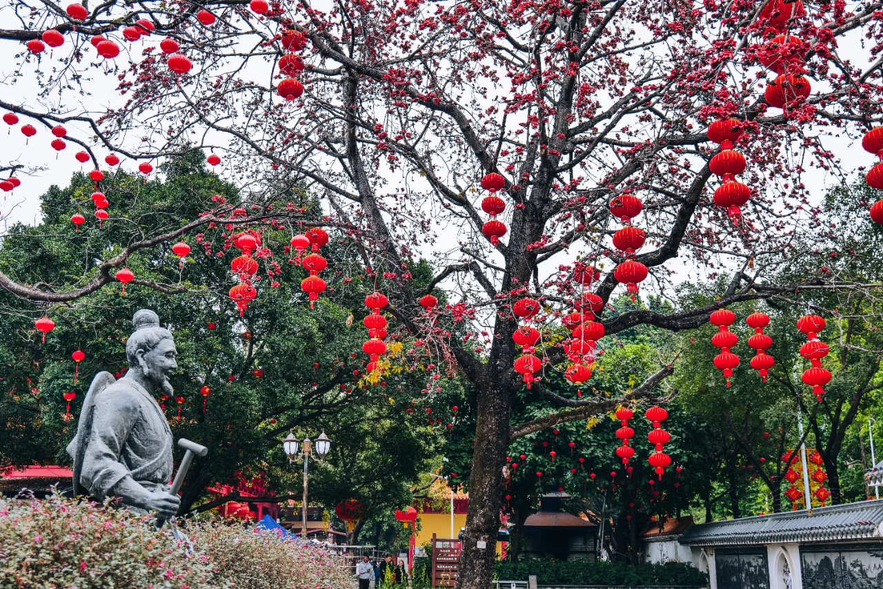 石龙欧仙院：红棉盛放的绝美时刻