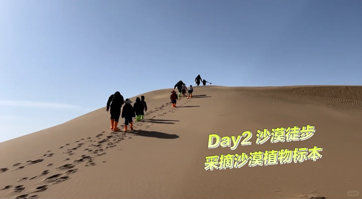 沙漠星星&宁夏中卫旅游攻略Day1