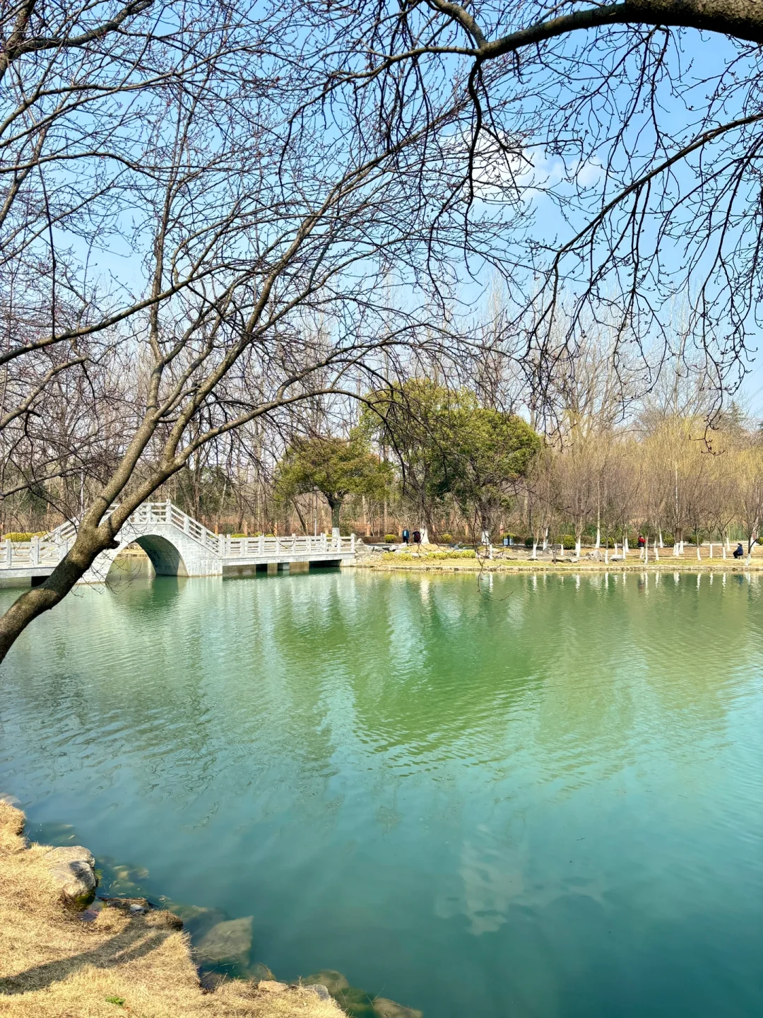 📍珍珠泉景区｜含氧量💯的宝藏景点