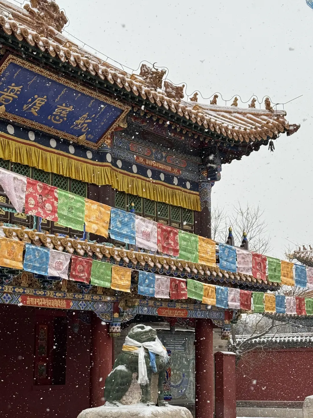 小红书跟风最成功的一次❗️不是瑞士是内蒙古