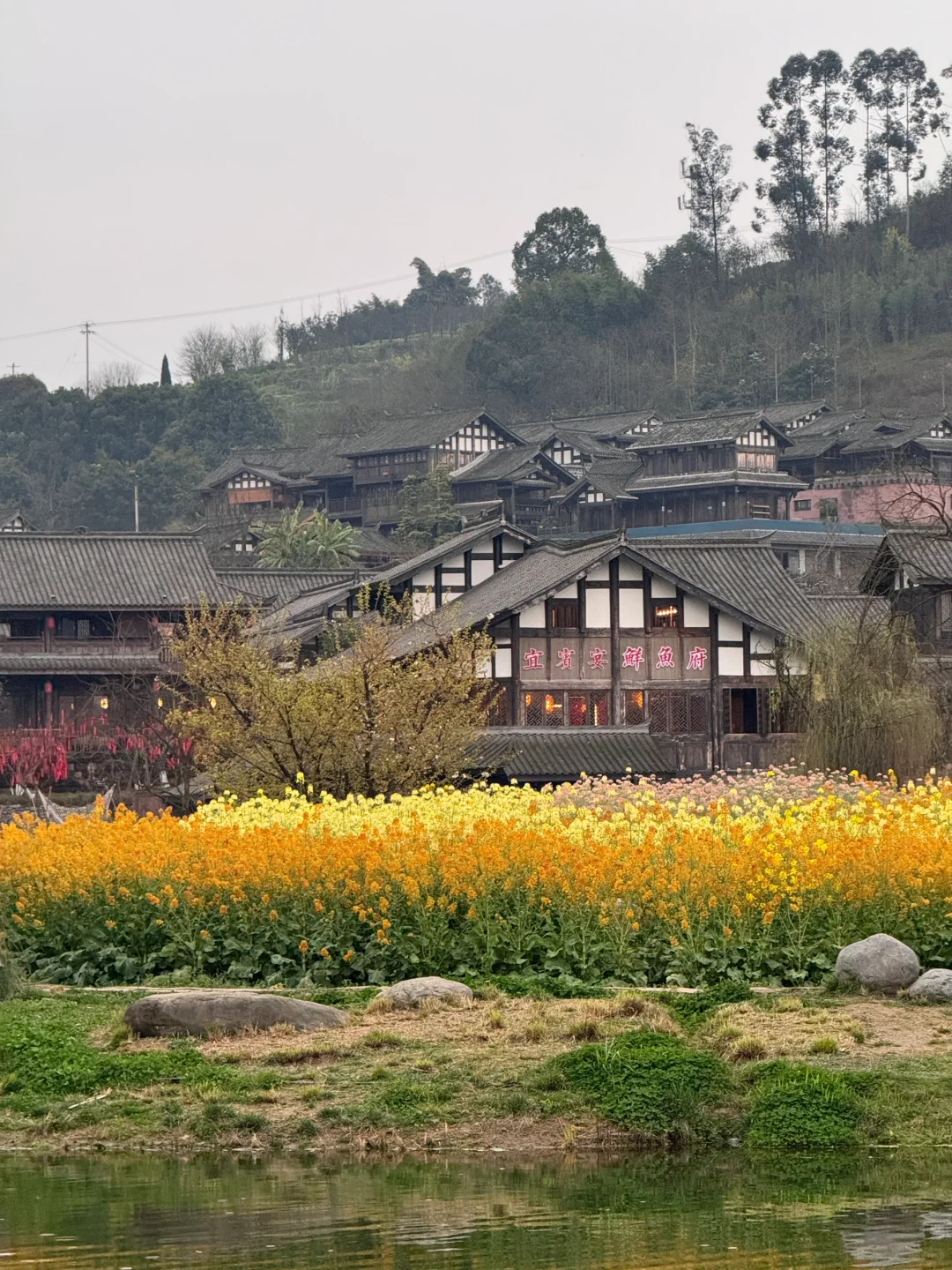 以为宜宾够美了...直到去了免费莫奈花园💐