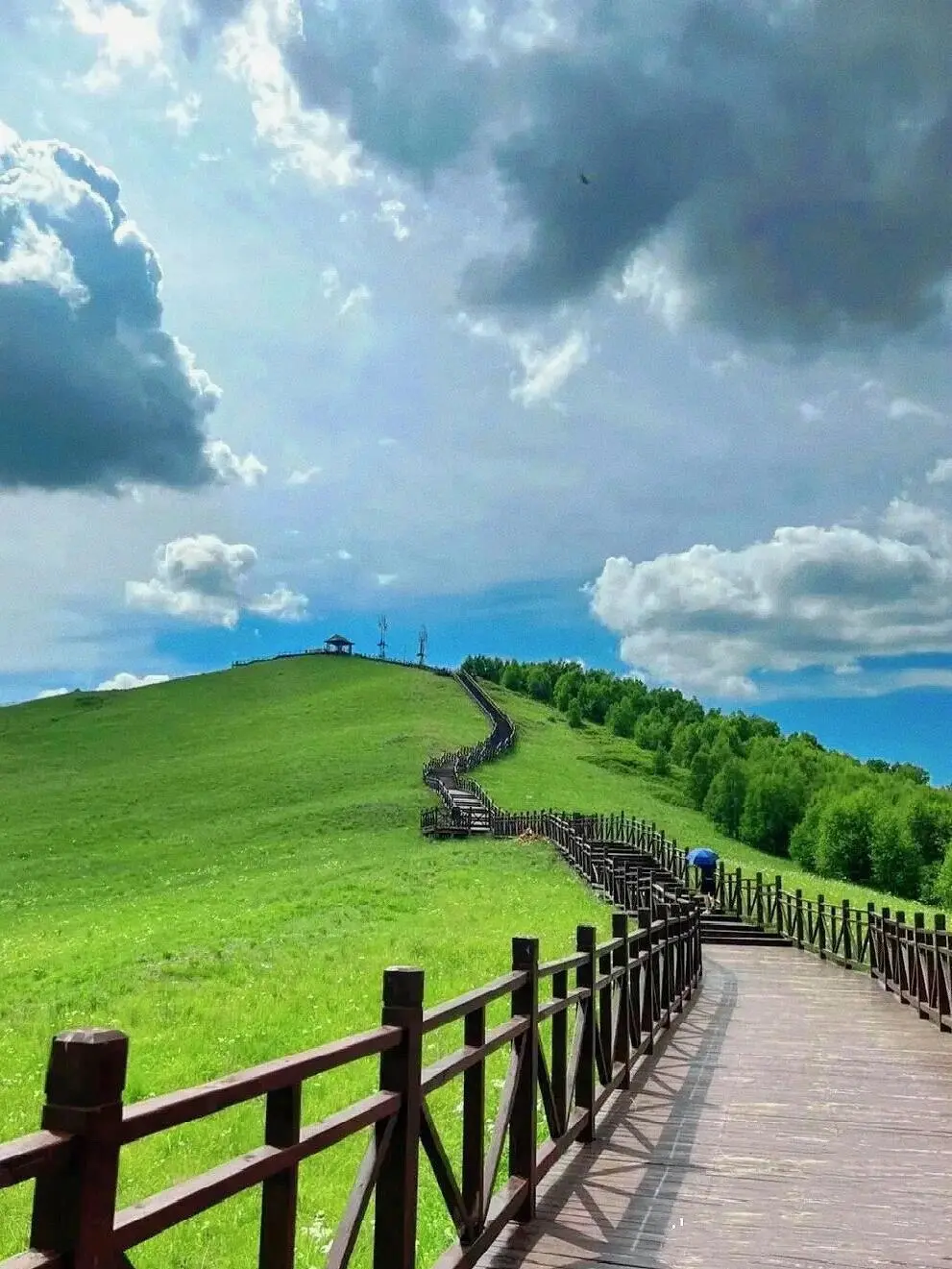 小红书跟风最成功的一次❗️不是瑞士是内蒙古
