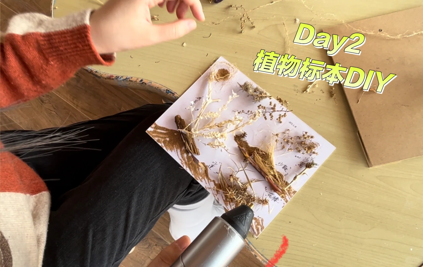 沙漠星星&宁夏中卫旅游攻略Day1