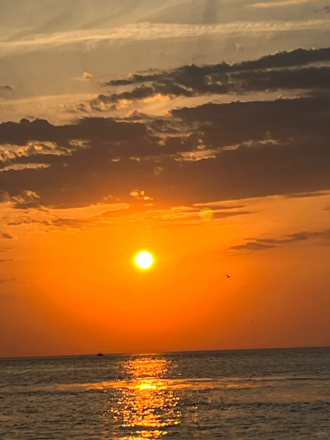 橘子海 | 在威海拍到了人生日落！