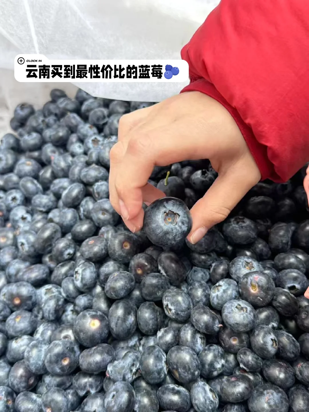 答应我，到了云南一定要去趟弥勒‼️‼️